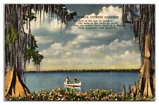 Florida Cypress Gardens Canoe Linen Postcard picture