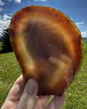 Natural Agate 6” Geode Large Thick Slice  Burnt Orange & Brown 529g picture