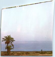 Postcard - The Dead Sea - Jericho, Palestine picture