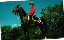 Vintage Postcard- Royal Canadian Mounted Police picture