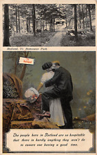 Lovers In Forest BOMOSEEN PARK Rutland Vermont 1910 Postcard picture