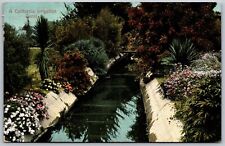 Vtg California CA Irrigation Canal View 1908 Riverside Cancel Postcard picture