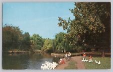 Feeding The Ducks At McKinley Park Canton Ohio Postcard Posted 1960 picture