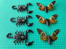3 Scorpions & 3 Cicadas Real Insect Taxidermy Collection Oddities Home Decor picture