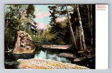 Adirondack Mts NY-New York, Cold Brook, Antique Souvenir Vintage Postcard picture