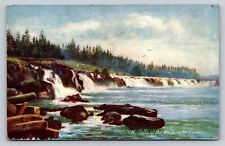 1909 Tuck Oilette Oregon Horseshoe Shape Falls of Willamette River Antique PC picture