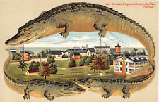 c.1908 Alligator Border Wireless Telegraph Station Key West FL post card picture