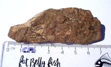 44.2 grams NWA xxx unclassified as found individual stoney Meteorite with a COA picture