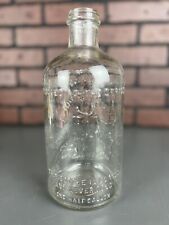 Antique Chemung Spring Water Bottle w/ Stopper Embossed Indian Graphic Aqua picture
