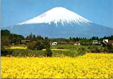 Postcard Mount Fuji & Rape Blossoms, Japan picture