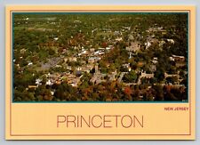 Aerial View Princeton New Jersey Vintage Unposted Postcard picture