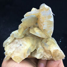 310g Natural RARE Yellow Calcite Symbiosis with Pyrite and Fluorite picture