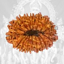 17 Mukhi Rudraksha is blessed by Lord Vishwakarma picture