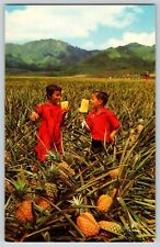 Postcard Children w Field Ripe Pineapple - Hawaii picture