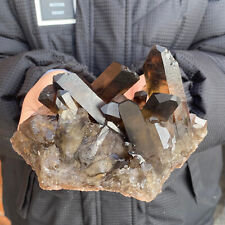 1.6LB Natural Tea black Crystal quartz Cluster Mineral Specimen Healing reiki picture