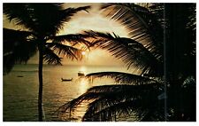 Vintage Postcard 1973 Florida Sunset Boats Palm Trees Landscape Ocean View-J2-12 picture