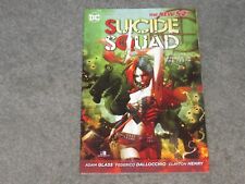 Suicide Squad Vol. 1: Kicked in the Teeth (The New 52) - SC picture