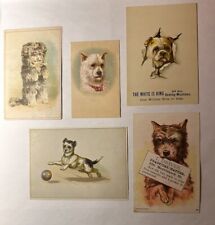 5 Victorian Trade Cards With Dogs White Sewing Clyne’s Electric Bufford B76 picture