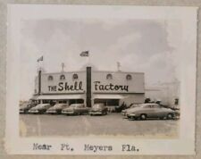 1950s Fort Myers Florida The Shell Factory Store Sign Cars Snapshot Photo picture