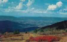 Skyline Drive in Virginia with New Market Gap vintage unposted picture