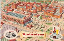 St. Louis, Missouri Postcard Home of Budweiser Anheuser- Busch About 1950s   P5 picture