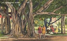 Pretty Girls Walking Among Banyan Trees in Florida 1941 Postcard picture