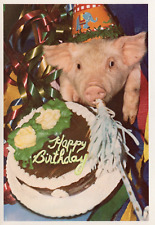 Cute Happy Birthday PIGLET Birthday card ©1980 George Dudley & Bill's Pig Parlor picture