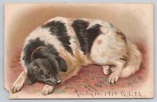 Vtg Embossed Post Card Dog Taking A Nap H44 picture