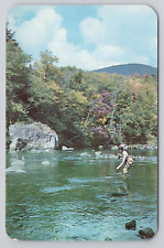 Trout fishing in the Pocono Mountains of Pennsylvania Postcard 2923 picture
