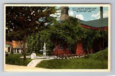 Bluffton IN-Indiana, City Water Works, Electric Light Plant, Vintage Postcard picture