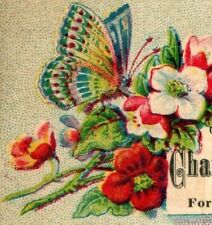 1880's Charles Johnson Assessor-At-Large Butterfly Flowers Image P153 picture