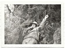 Vintage 1955 Photo of Drunk Man Falling Against Tree Still Holding Whisky Bottle picture