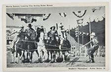 Marvin Ramsey Lassoing Five Racing Rodeo Horses Vintage Stryker Postcard picture