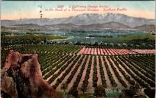 1916 Orange Grove on Southern Pacific Rail Line California Vintage Postcard picture