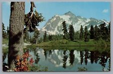 Mt. Shuksan From Heather Meadows Mount Baker National Forest Postcard picture