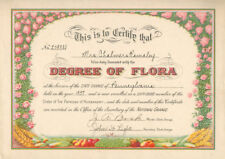 Degree of Flora - Miscellaneous picture