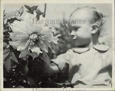 1939 Press Photo Bruce Bertrand Looks at Dahlia Bloom - lrs24262 picture