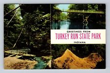 Marshall IN-Indiana, Turkey Run State Park, Rocky Hollow, Vintage Postcard picture