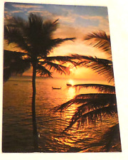 1968 Postmarked A Florida Sunset Postcard Palm Tree Water VTG picture
