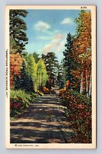 Windsor VT-Vermont, Scenic Greetings, Roadway, Antique, Vintage Postcard picture