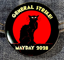 SABO CAT TABBY FOR GENERAL STRIKE 2028 United Auto Workers - IWW picture