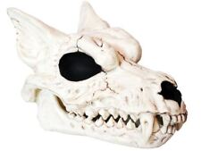Werewolf Skull Wolves Dog Prop Halloween Haunted House Decor Skeleton Head Wolf picture