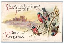 c1910's Happy Christmas Song Birds Clapsaddle Winter Posted Antique Postcard picture