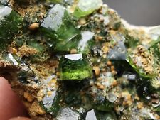 76g Natural Green Ludlamite Matrix Mineral Specimen Brazil picture