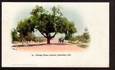 c1903 carriage on Orange Grove Avenue Pasadena California postcard picture