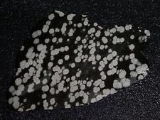 Snow Flake Obsidian slab--4 7/84