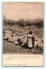 c1910 Sheep and Shepherd Jerusalem RPPC Photo Germany Antique Postcard picture