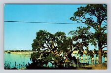 Biloxi MS-Mississippi, Bridge Crossing Back Bay, Vintage Souvenir Postcard picture