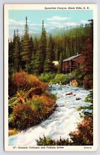 1930-40s~Spearfish Canyon~Black Hills SD~Fly Fishing~Summer Cottage~VTG Postcard picture