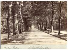 Germany, Baden-Baden, Lichtentaler Allee Vintage Albumen Print Album Print picture